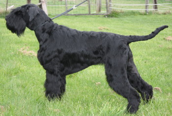 Jule von den Bachquellen